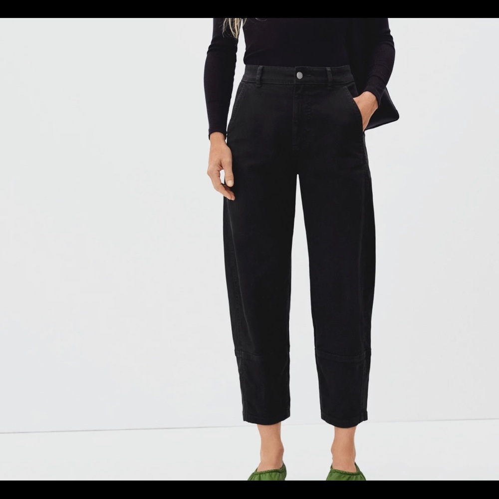 Everlane The Utility Barrel Pant